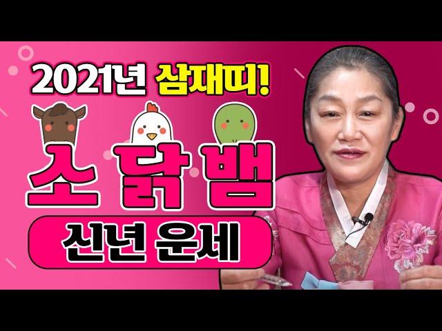 미아리점집/2021년 삼재띠운세 [뱀21세33세45세57세69세] [닭29세41세53세65세] [소25세37세49세61세]금전 상승의 운관재,구설,사고수조심/환갑상X(공보살)