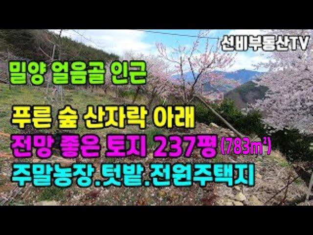 밀양토지(184) 밀양 얼음골인근 산자락아래 선비부동산055-354-8757 전망좋은토지 주말농장 텃밭 전원주택지 강조망#밀양부동산매물#밀양부동산#밀양촌집#밀양농막