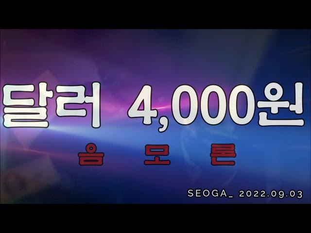 서가경제 달러(환율) 달러 달러 달러 달러