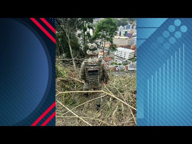 Polícia Ambiental identifica desmatamento em Teresópolis