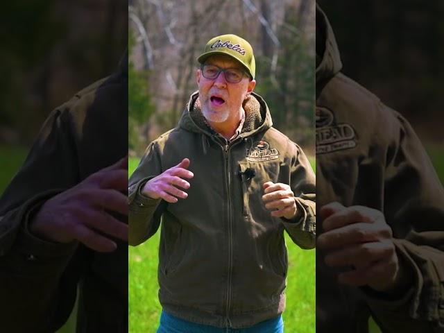 Is a clover plot the best option for your food plot goals?
