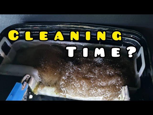 WHEN and HOW to CLEAN your Aquarium FILTER..