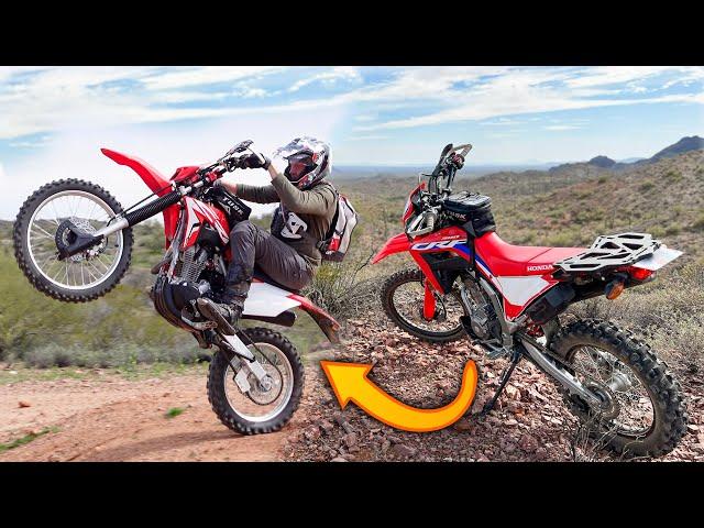 CRF250F VS CRF300L - Why I Chose Less