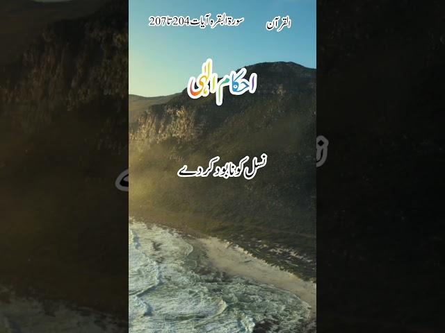 Surah Baqra |Ayat 204 to 207|Urdu translation |Ahkam e ilahi