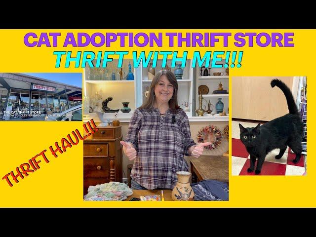 Super Cute Thrift Store and Super Cute Cat for Adoption! Thrift with me and meet Felix the Cat!!