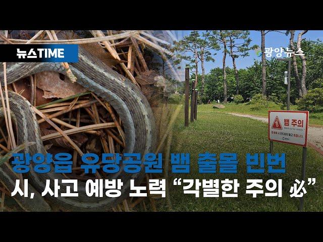 광양읍 유당공원 뱀 출몰 빈번 '각별한 주의 必' [뉴스TIME]