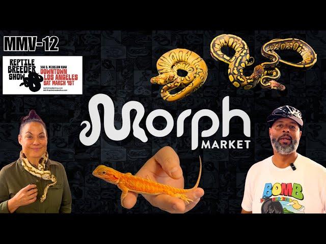 New Reptile Breeder Show In Los Angeles Walkthrough | MorphMarket Vlog-12