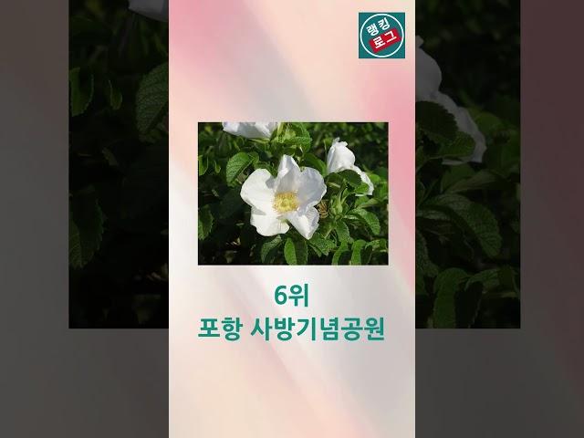 봄 여행지 추천순위#Shorts