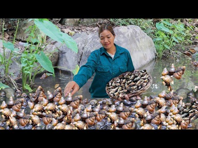 Harvesting Snail Goes To The Market Sell, Cooking