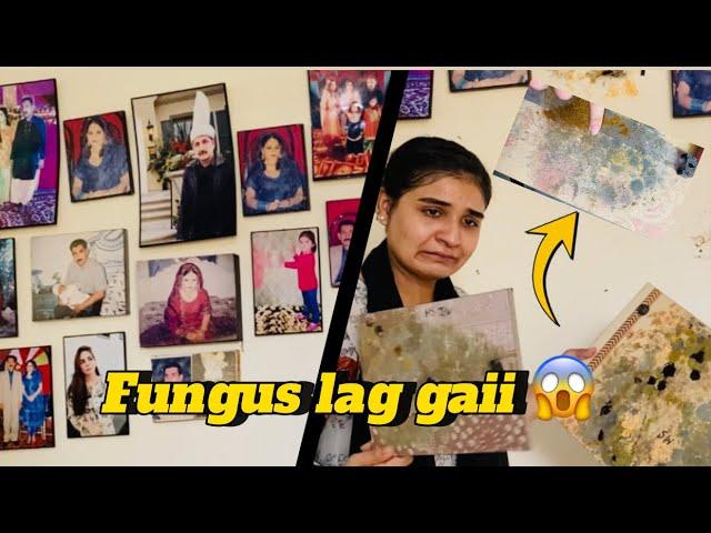 Sab pictures ph fungus lag gai || wall b kharab || Qazalbash’s Vlogs