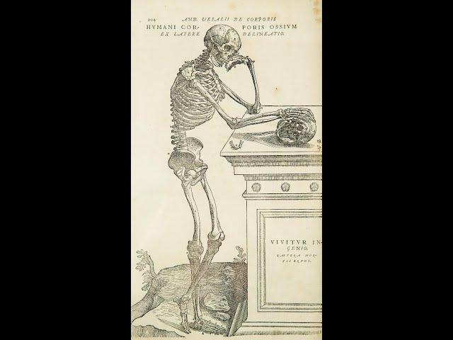 Anatomy
