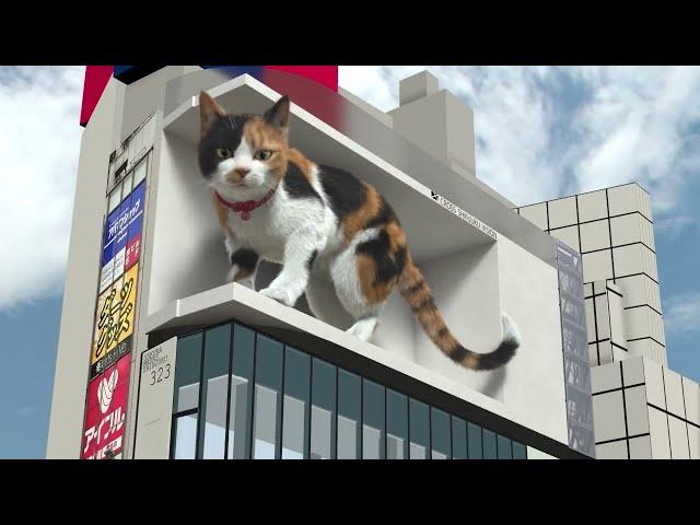 Giant Cat 3D billboard  Tokyo Japan