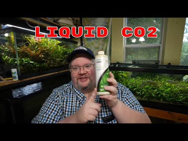 Does Liquid CO2 Work In Planted Aquariums?