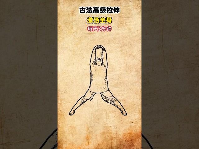 古法高級拉伸，激活全身#科普 #健康 #健康科普 #健身 #涨知识 #知识分享 #中医 #医学科普 #養生 #西学中#西医学中医 #中医入门 #经方 #六经