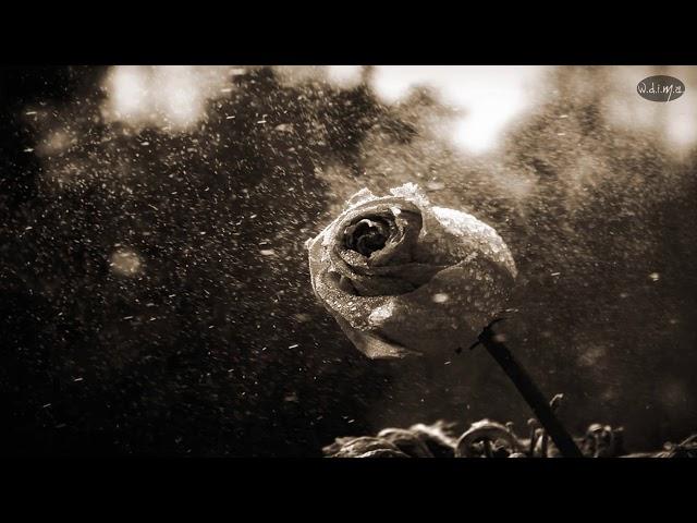The Silence Of A Whisper - Victory Rose