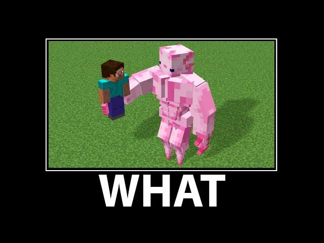 WAIT WHAT - Minecraft #23