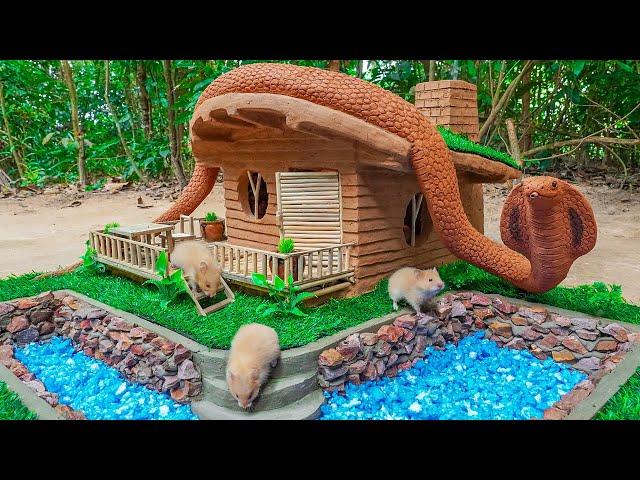 Build Hamster Maze With King Cobra Swimming pool - DIY Hamster House