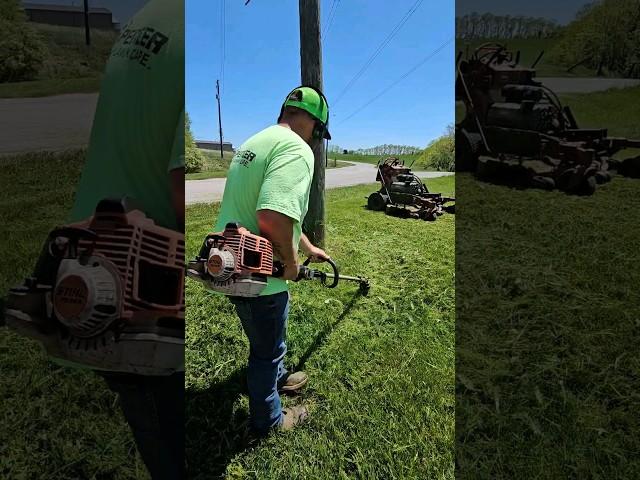 CUSTOMER WANTS IT TRIMMED ONCE A YEAR, TAKE IT TO THE DIRT 