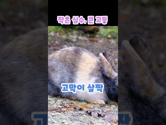 "샤워 후 면봉으로 귀 파다가 고막 뚫린 썰"#쇼츠 #썰 #귀청소 #고막천공 #면봉 #응급실 #귀파기#이비인후과 #고막 #청력손실 #귀출혈 #귀건강 #실화#샤워 #귀안전 #의료썰