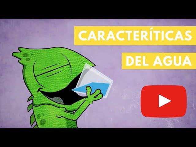 Características del agua | Camaleón