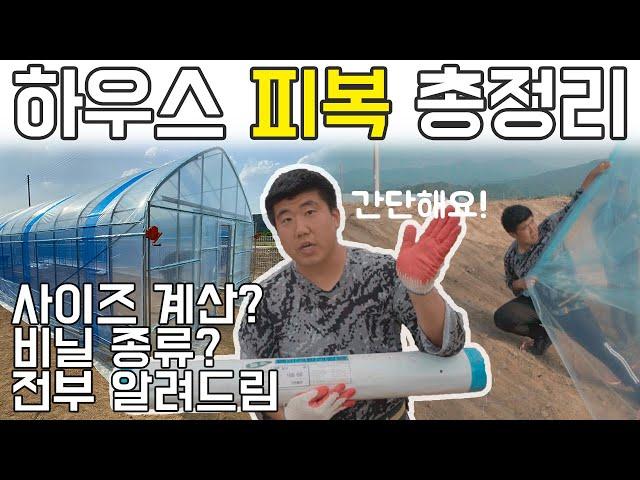 비닐하우스 피복 총정리! 사이즈 계산/비닐종류 모두 알려드립니다 #비닐하우스