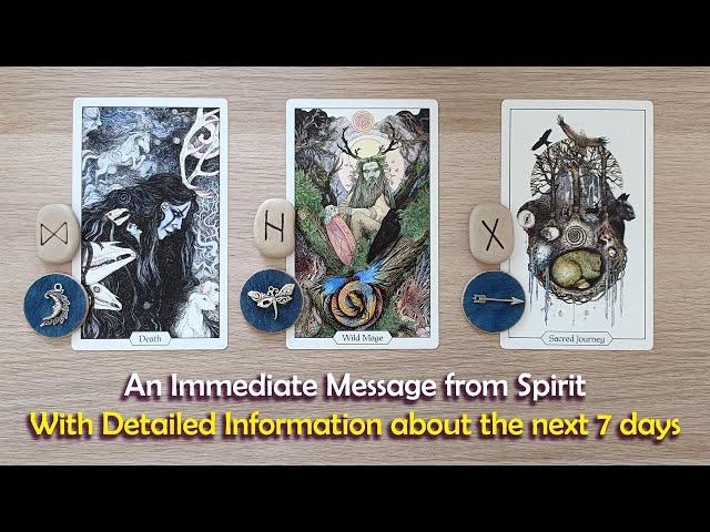 An Immediate Message You Are Meant to Hear with detailed Guidance for the coming week
