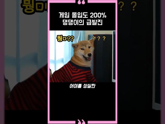200% immersion in the game, the puppy's sudden rash