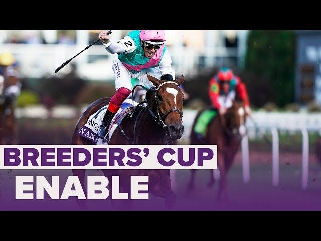 ENABLE wins Longines Turf | Breeders' Cup 2018