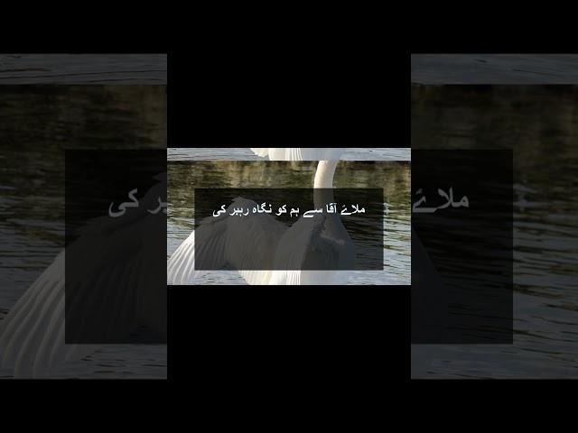 Milay Aqaa se Hum ko #381 #naatsharif