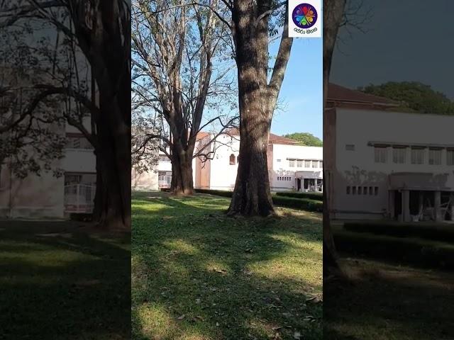 Science Faculty Of Peradeniya #pera #peradeniya #peradeniyauniversity #sciencefaculty