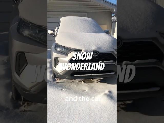 Canada life Vlog | #snowday #winterwonderland #canada