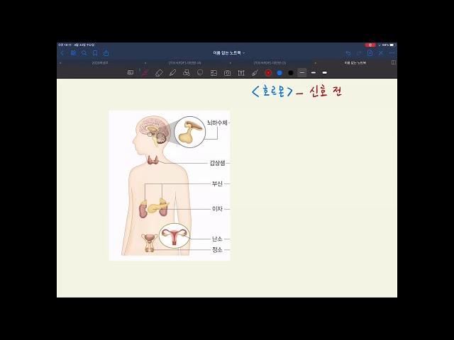 [중3] [4단원 - 자극과 반응] (9) 내분비샘과 호르몬