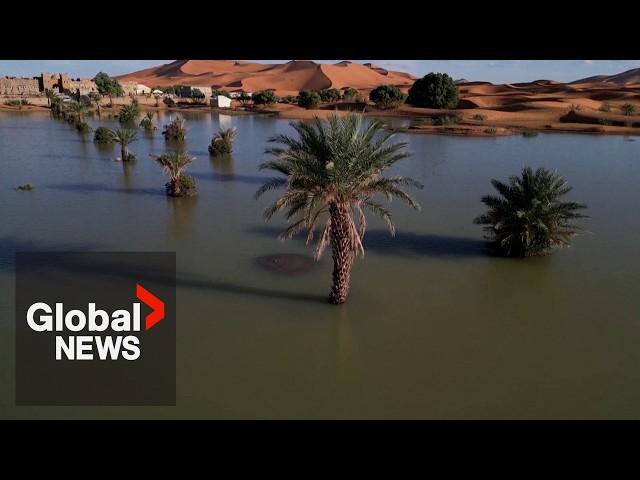 Sahara desert flood: Drone video shows palm trees, sand dunes inundated after rare rainfall