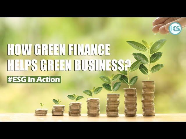 Green investments helping turn China’s businesses green too