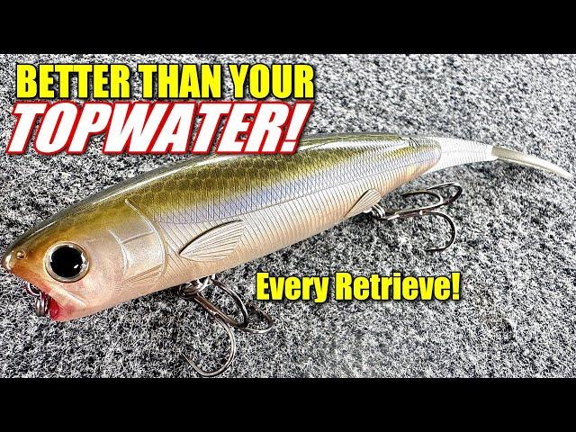 You'll NEVER Need Another Topwater BAIT