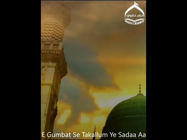 HAYE RASOOLALLAH A.S #rebuildjannatulbaqi WHATSAPP STATUS SUBSCRIBE FOR MORE #shorts