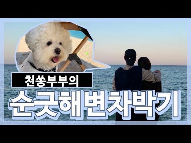 [캠핑vlog] 차박의 성지 순긋해변에서 토요일에 자리잡는 방법