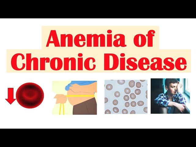 Anemia of Chronic Disease | Causes, Pathophysiology, Signs & Symptoms, Diagnosis, Treatment