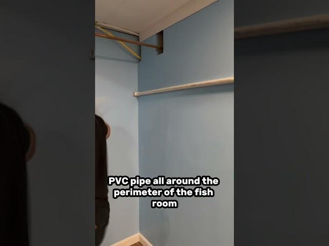 Turning my basement into a fish farm update