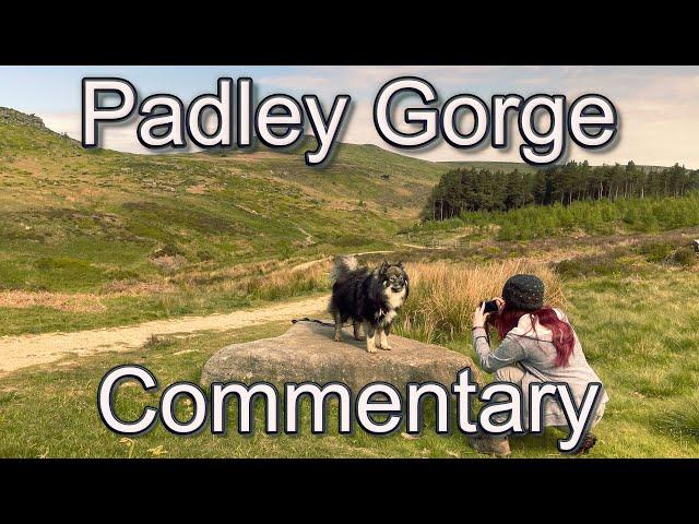 Behind the Scenes and Commentary to our Journey to Padley Gorge