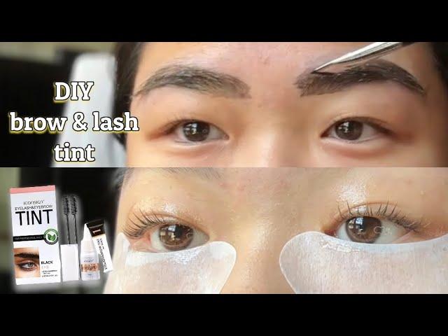 DIY LASH & BROW TINT | Iconsign review