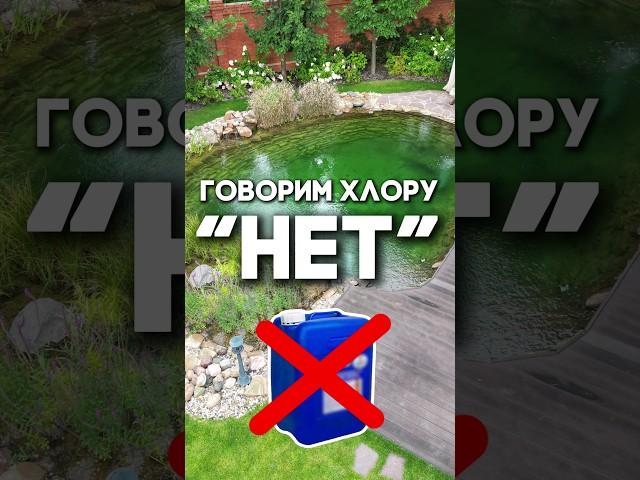 Хлор — убийца пруда!