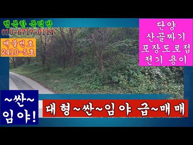 매물번호2410 5호 싼 임야 대형 임야 매매 33 480평 포장도로 전기 수도 매매8500만원