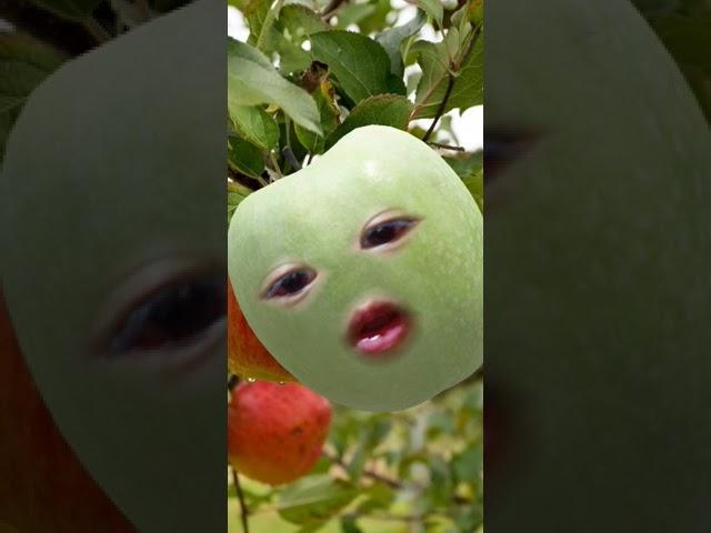 apple ️