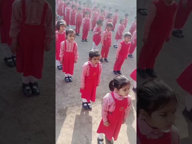 The Educator School Fatima Campus Satrah| National Anthem| Montessori Kids|Pakistan Favorite School