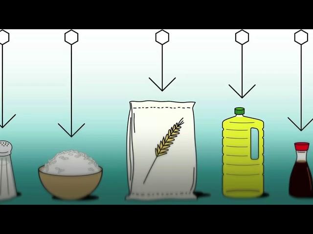 Food Fortification - Basics