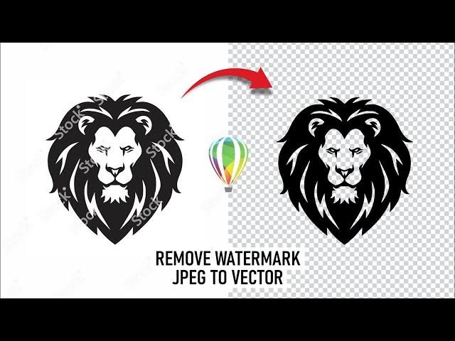 How to remove watermark from image in CorelDraw 2024