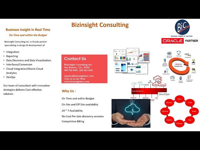 Bizinsight Consulting Sales Brocher 2017...