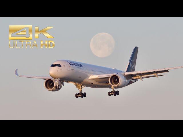(4K) Early morning Sunrise arrival and departure Compilation at Munich Airport A350 777 787 767