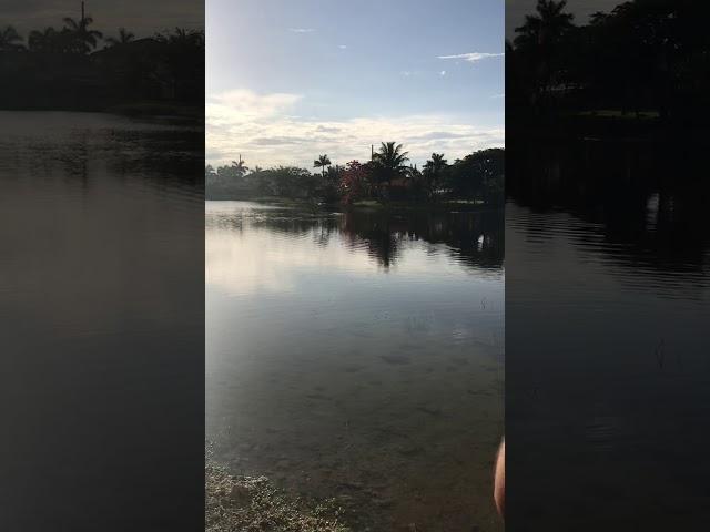 Flying the Eflight Icon 5 at the local lake.